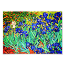 Foto Íris de Vincent Van Gogh