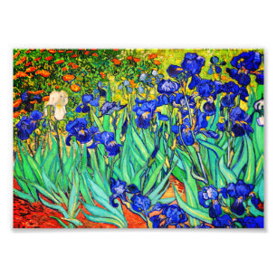 Foto Íris de Vincent Van Gogh