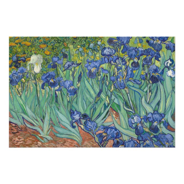 Foto Íris, Pintura a Óleo Floral, Vincent Van Gogh (Frente)