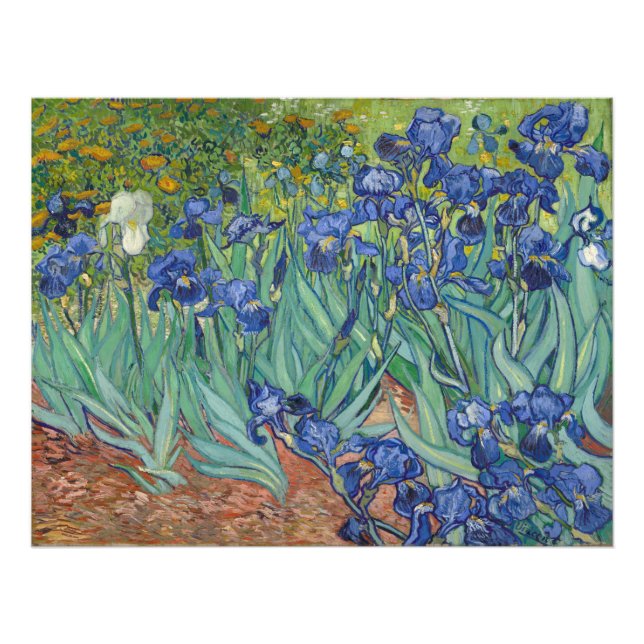 Foto Íris Vincent Van Gogh (Frente)