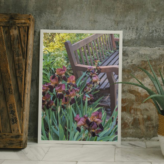 Foto Irises Blooms e Garden Park Bench Floral (In Situ)