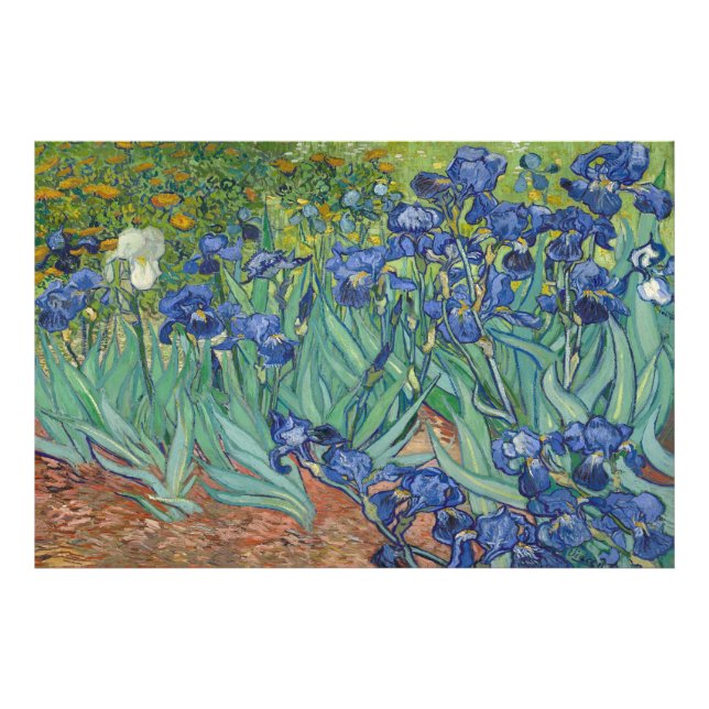 Foto Írises de Vincent van Gogh (Frente)