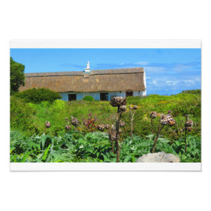 Foto Irish Cottage Home