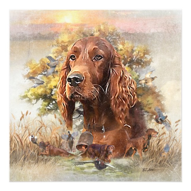 Foto Irish Setter - Ultimate Upland Bird Dog (Frente)