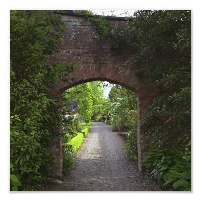 Foto Irlanda, o Castelo Dromoland muito verde (Frente)