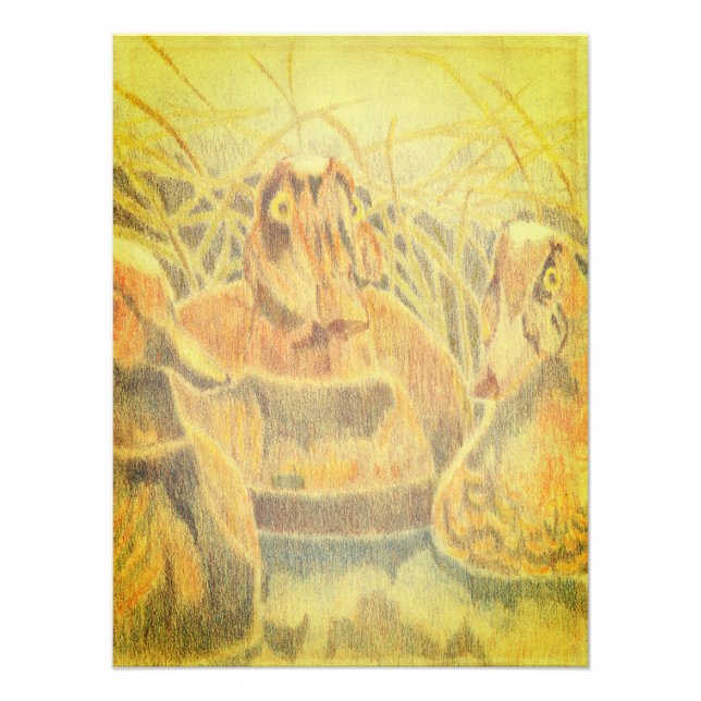 Foto Isca de Pato na Margem da Água (Frente)