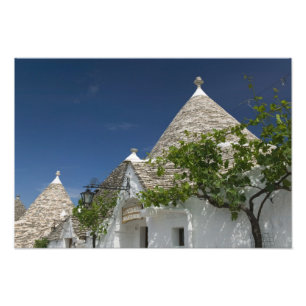 Foto Itália, Puglia, Alberobello, Terra dei Trulli, 2