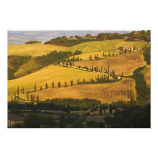 Foto Itália, Toscana, Estrada ZigZag na Toscana.