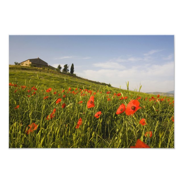 Foto Itália, Toscana, Villa Tuscana em Primavera com (Frente)