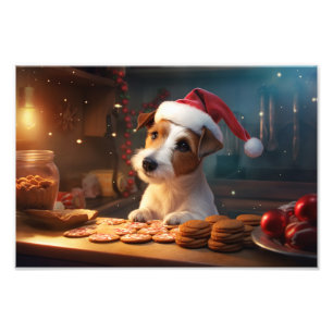 Foto Jack Russell Natal Cookies Festas Festivas