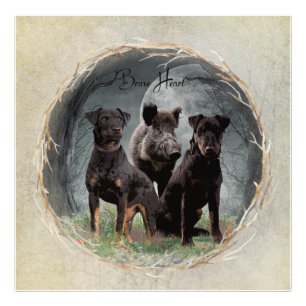 Foto Jagdterrier, brava tapeçaria cardíaca poster acríl