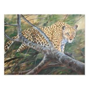 Foto Jaguar na Prowl