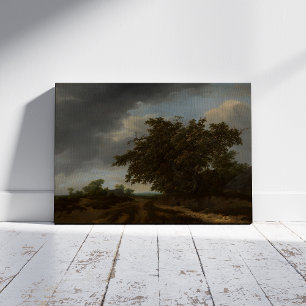 Foto Jan Vermeer, Paisagem na Borda das Dunas