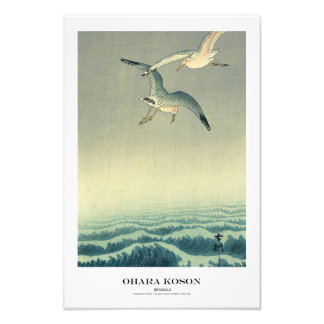 Foto Japanese Art Print - Ohara Koson - Seagull