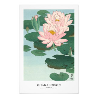 Foto Japanese Art Print - Ohara Koson - Water Lilies