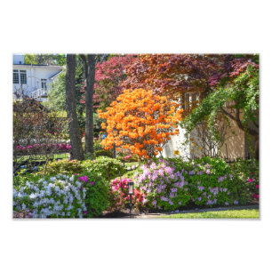 Foto Jardim Azalea Trail em Tyler, Texas