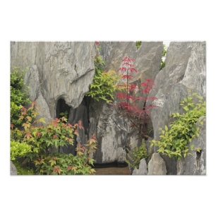 Foto Jardim da família Bao, Huangshan, China.
