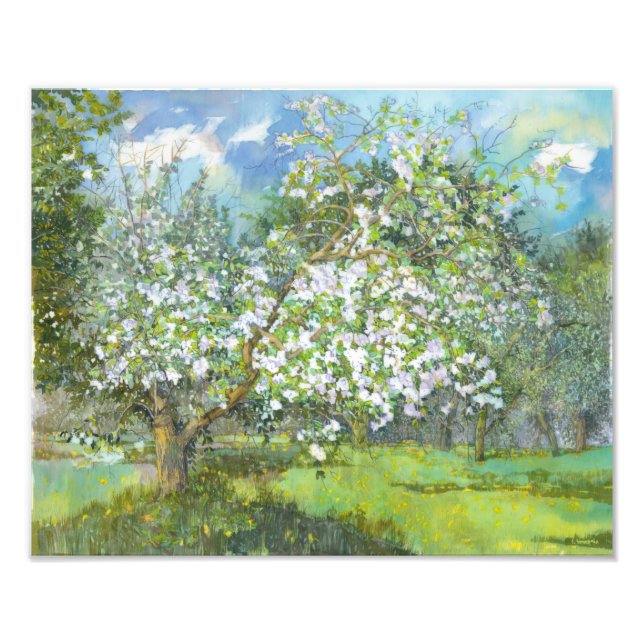 Foto Jardim florescente (Frente)