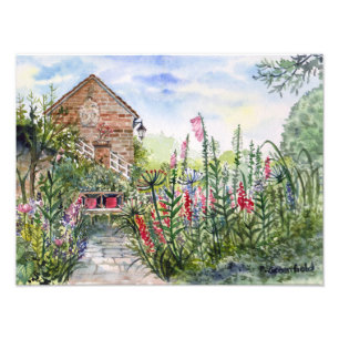 Foto Jardim Inglês Summer Wildflower em York