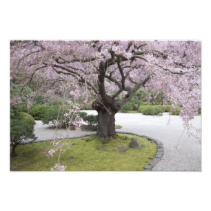 Foto Jardim Japonês de Portland, Portland, Oregon,