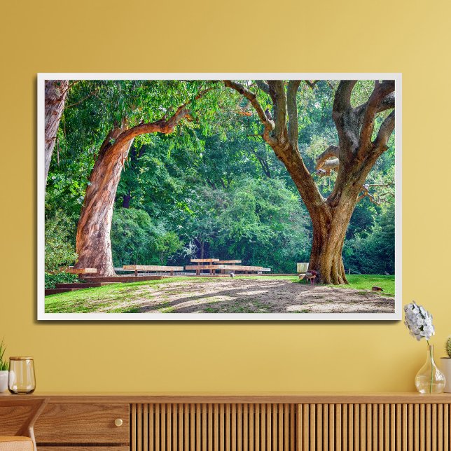 Foto Jardins da fundação Calouste Gulbenkian. (Criador carregado)