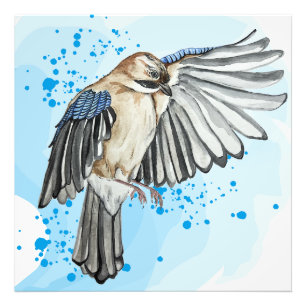 Foto Jay azul-aquarela brilhante