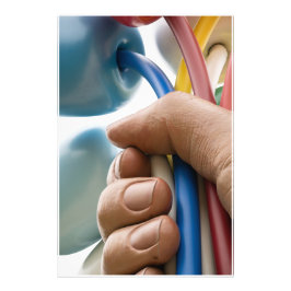 Foto Jeff Koons escultura "Buquê de Tulips" em Paris