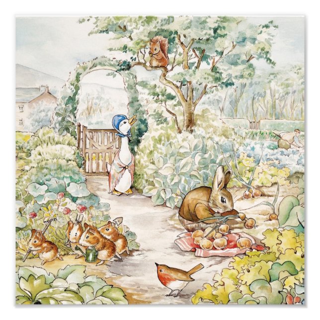 Foto Jemima Puddle Duck no Jardim do Sr. Mc Gregor (Frente)