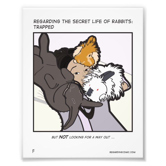 Foto Jen Eli e Buns (Frente)