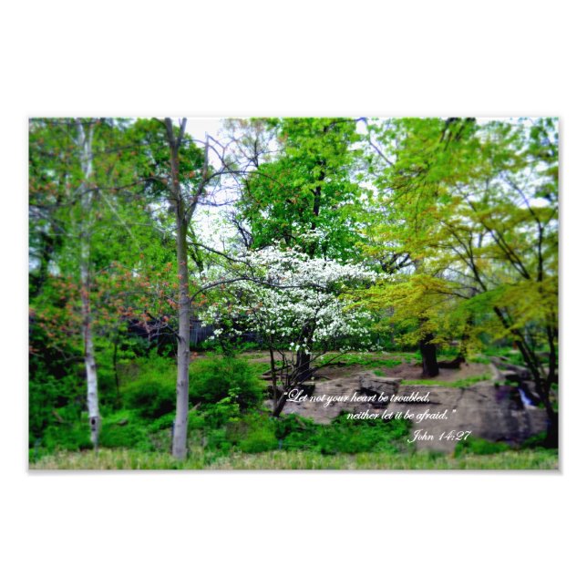 Foto John 14:27 Não se preocupe! (Frente)