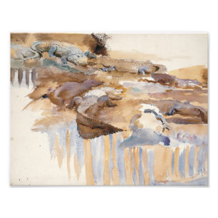 Foto John Singer Sargent - Alligadores