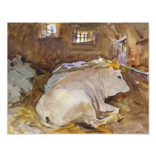 Foto John Singer Sargent - Oxen