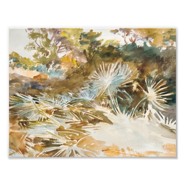 Foto John Singer Sargent - Paisagem com Palmettos (Frente)