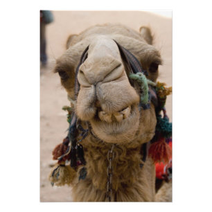 Foto Jordão, cidade antiga de Nabataean de PETRA. Loca