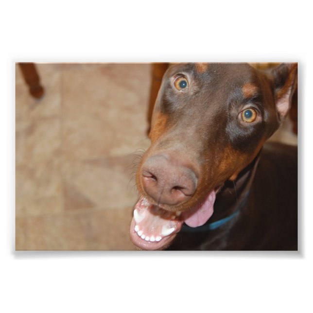 Foto Kaiser (Frente)