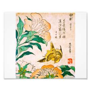 Foto Katsushika Hokusai - Peony E Canary