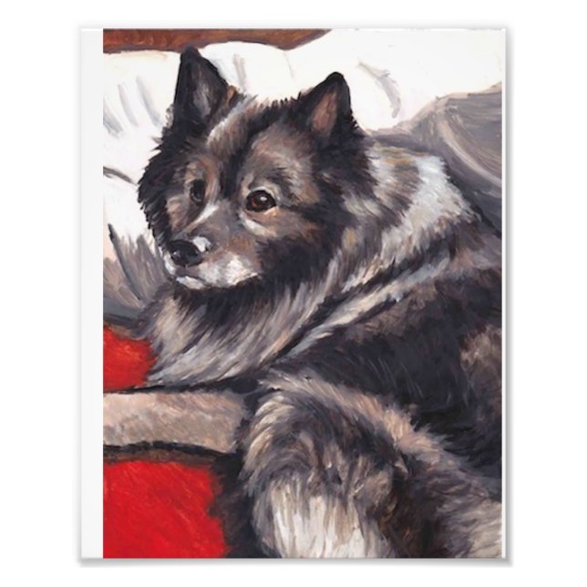Foto Keeshond Dog Art Impressão (Frente)