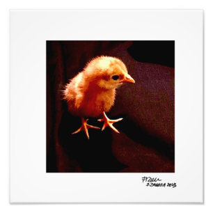 Foto Kid solitário