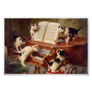 Foto Kittens e Piano