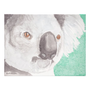 Foto Koala I