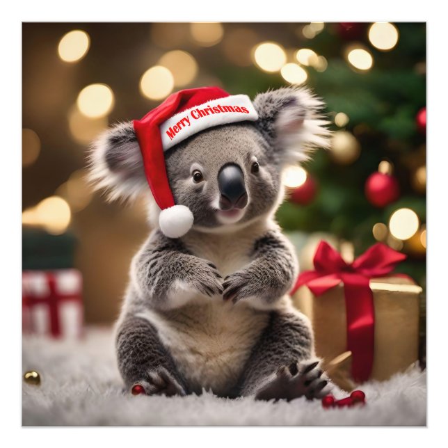 Foto "Koala Kris Kringle: Natal Abaixo" (Frente)