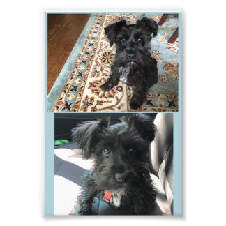 Foto Kodak Professional Photo Paper (Satin)