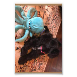 Foto Kodak Professional Photo Paper (Satin)