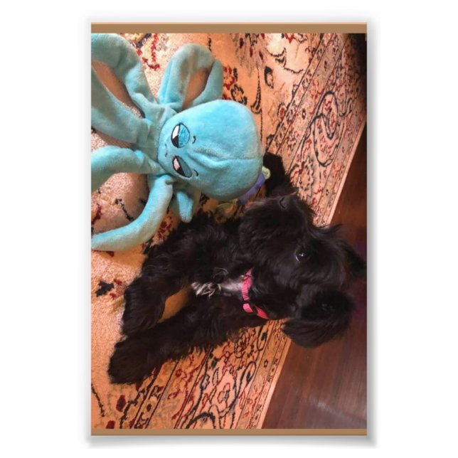 Foto Kodak Professional Photo Paper (Satin) (Frente)