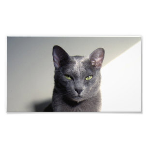 Foto korat