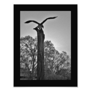 Foto La Crosse Eagle