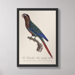 Foto La Perruche Ara, uma variante de desfiladeiro