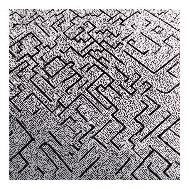 Foto Labirinto Intricado Preto e Branco (Frente)