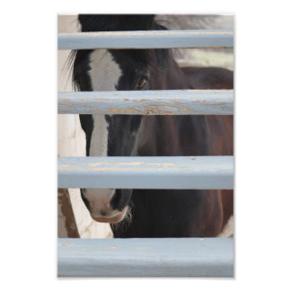 Foto Laço não dito