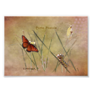 Foto Lady Mixed Media Pintada